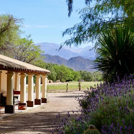 Estancia Banda Grande - Horse & Hiking Molinos Exterior photo