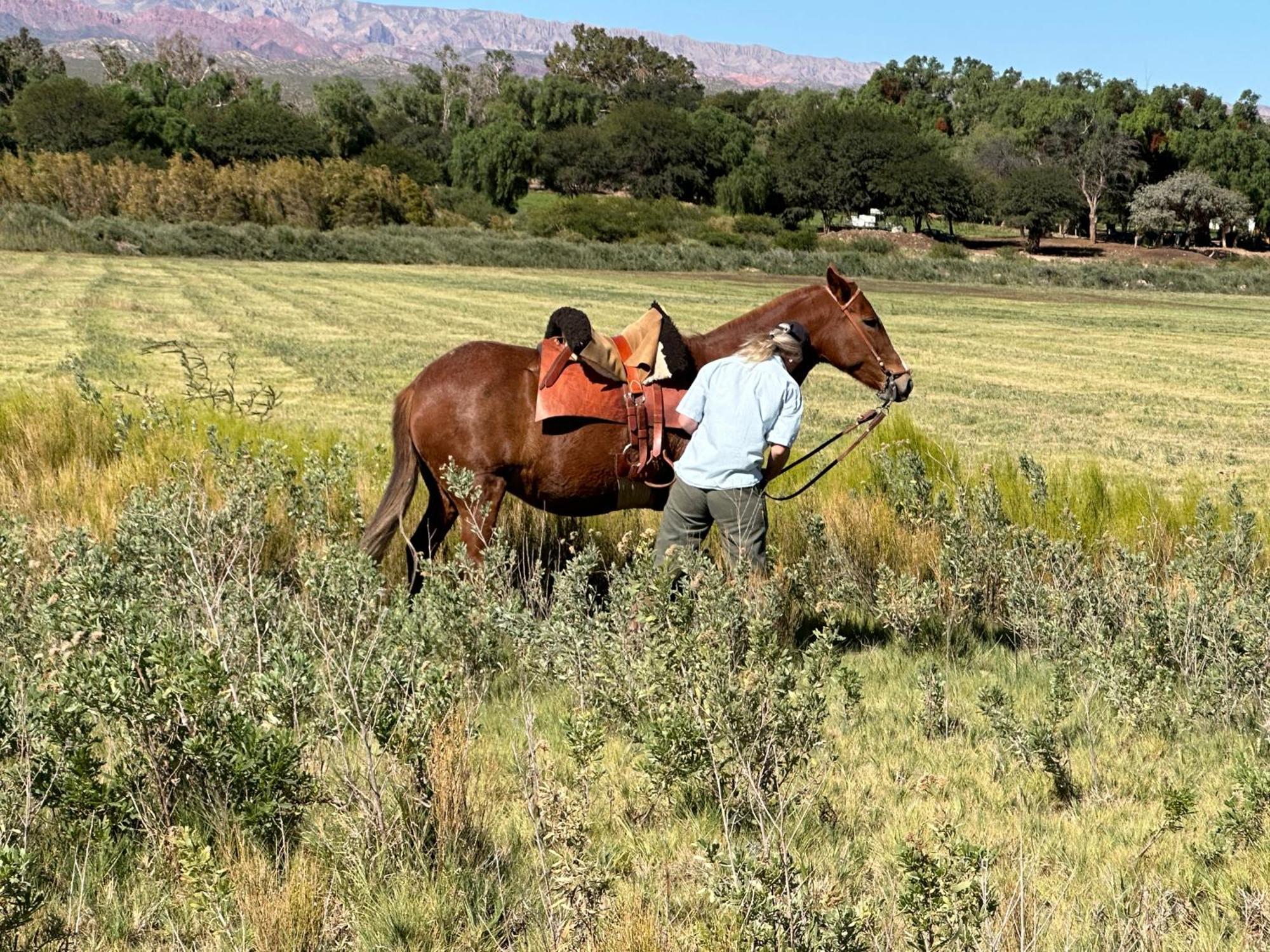 Estancia Banda Grande - Horse & Hiking Molinos Exterior photo