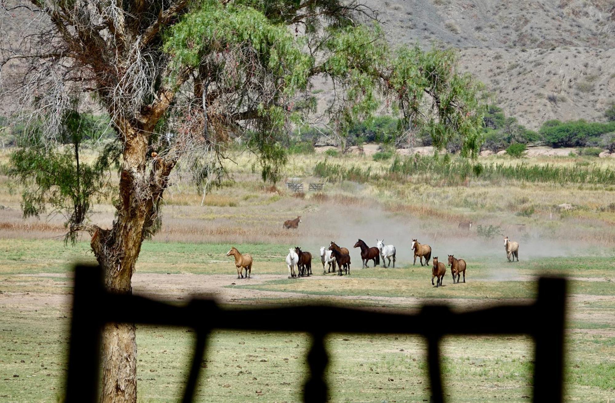 Estancia Banda Grande - Horse & Hiking Molinos Exterior photo