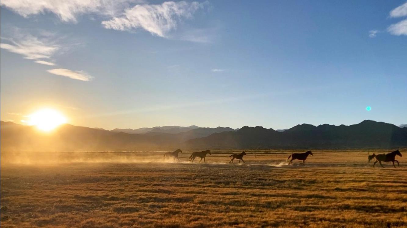 Estancia Banda Grande - Horse & Hiking Molinos Exterior photo