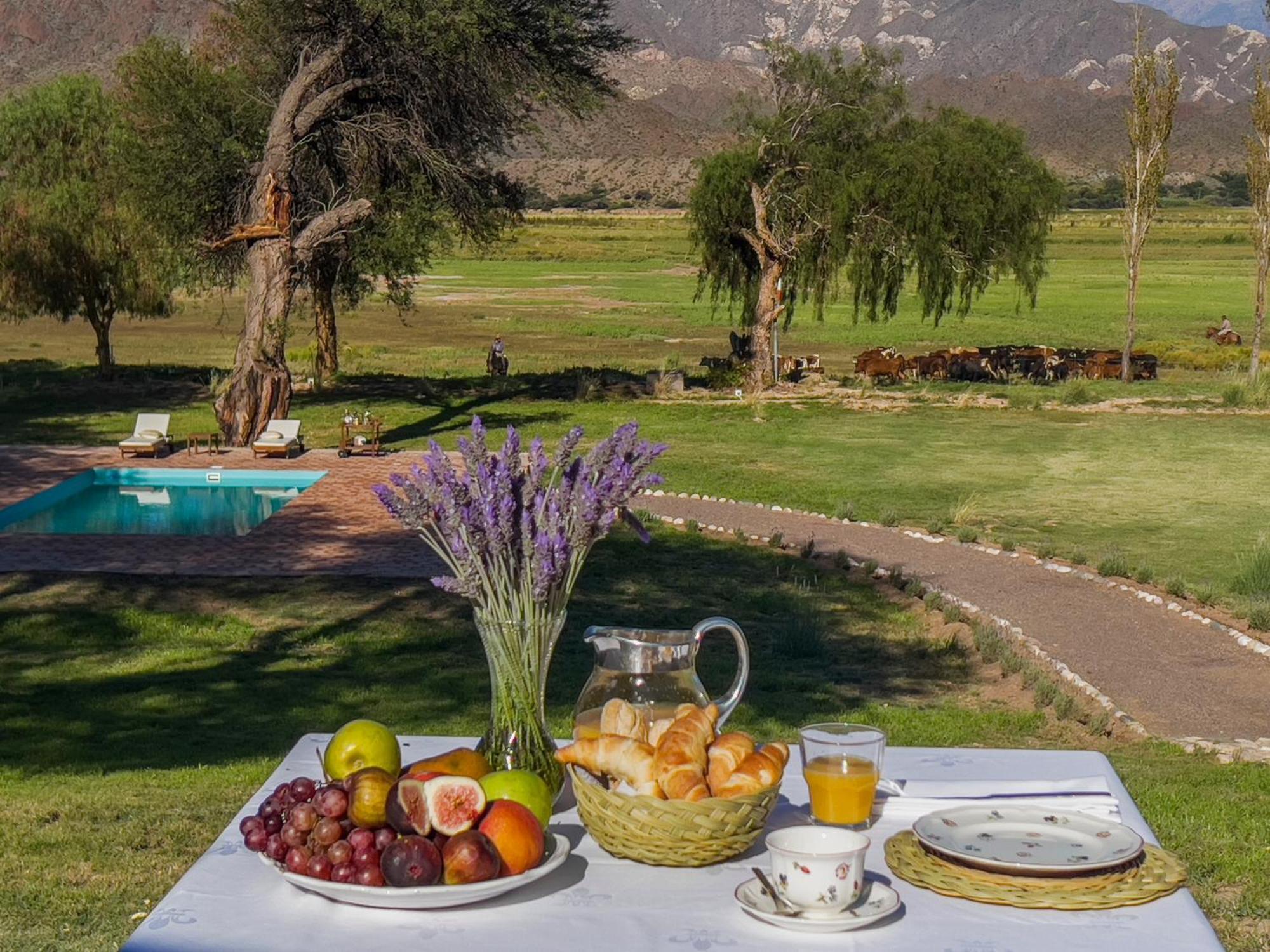 Estancia Banda Grande - Horse & Hiking Molinos Exterior photo